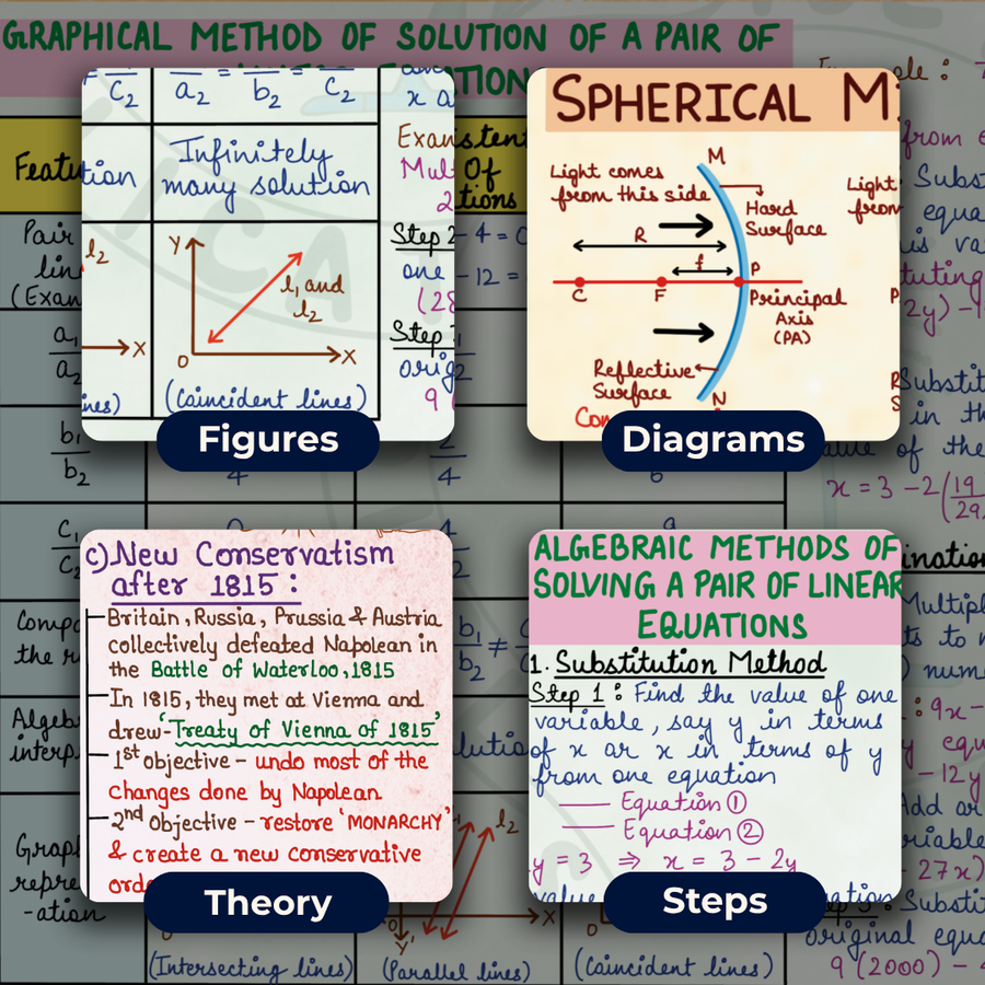 Complete CBSE Class 10 Mind Maps | Science + Mathematics + Social Science | Meiosis Publications
