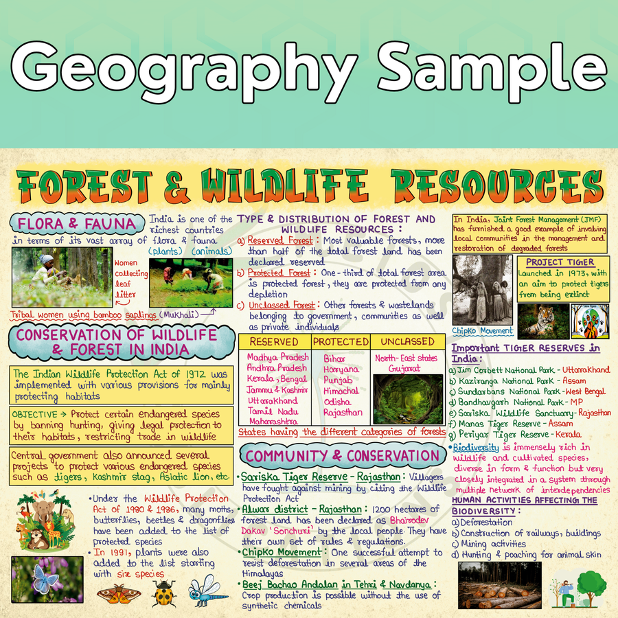 Mind Maps for Class 10 – Social Science (History, Political Science, Geography & Economics) | CBSE | Meiosis Publications