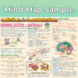 Complete CBSE Class 10 Mind Maps | Science + Mathematics + Social Science | Meiosis Publications