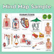 Mind Maps for Class 10 – Science | CBSE | Meiosis Publications