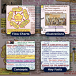Mind Maps for Class 10 – Social Science (History, Political Science, Geography & Economics) | CBSE | Meiosis Publications