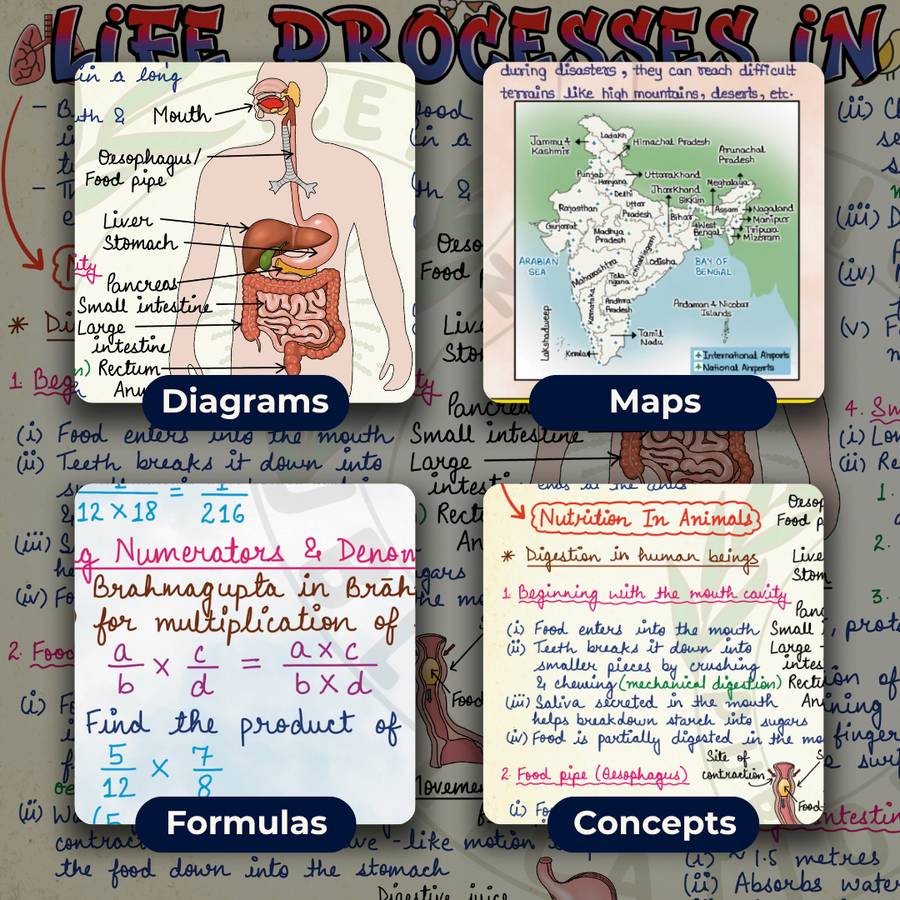 Complete CBSE Class 7 Mind Maps | Science + Mathematics + Social Science (Part 1 & 2) | Meiosis Publications