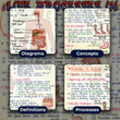 Mind Maps for Class 7 – Science | CBSE | Meiosis Publications
