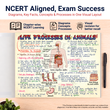 Mind Maps for Class 7 – Science | CBSE | Meiosis Publications