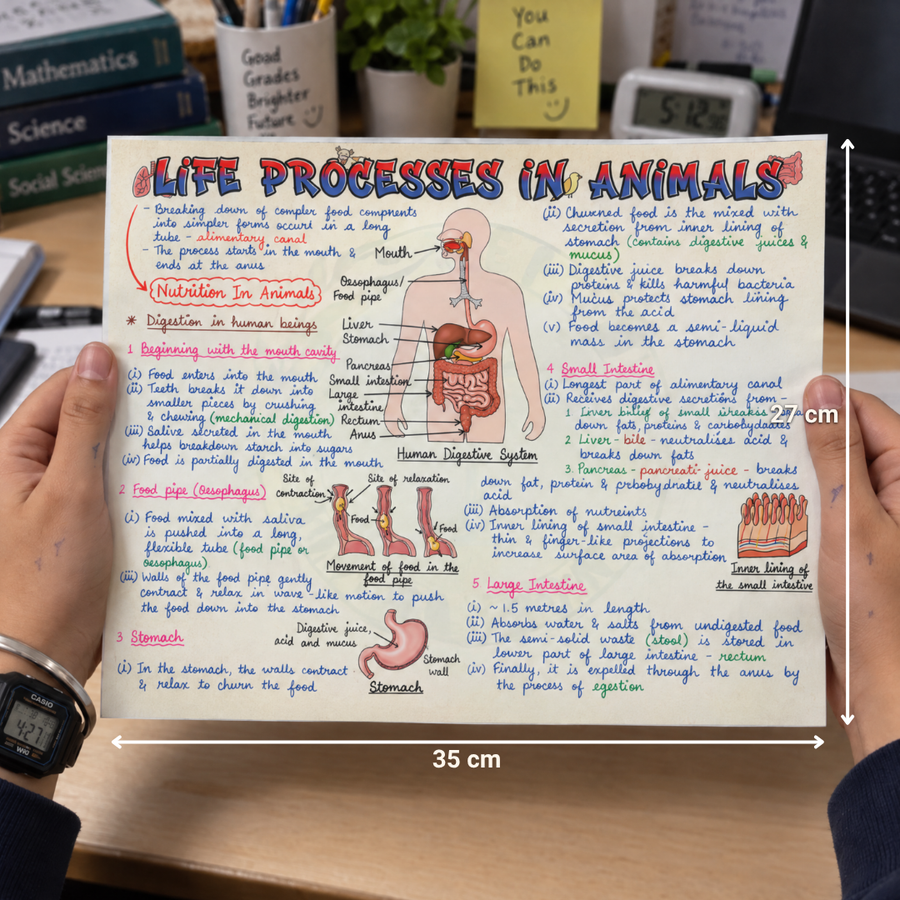 Mind Maps for Class 7 – Science | CBSE | Meiosis Publications