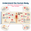 Complete CBSE Class 7 Mind Maps | Science + Mathematics + Social Science (Part 1 & 2) | Meiosis Publications