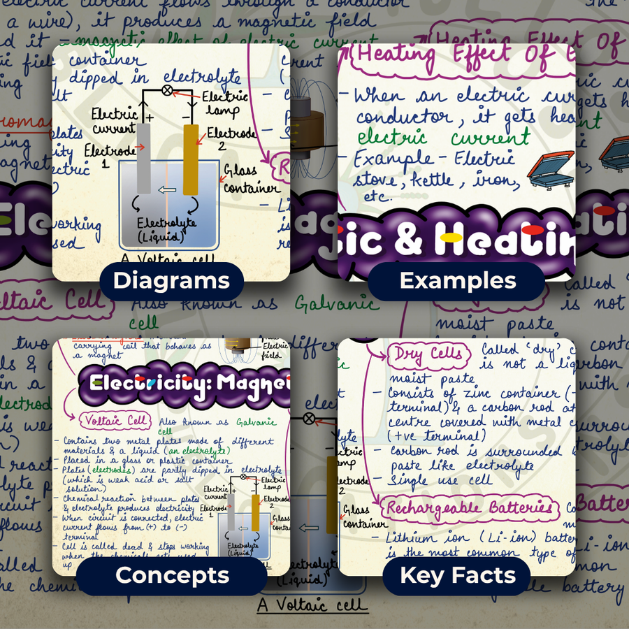 Mind Maps for Class 8 – Science | CBSE | Meiosis Publications
