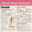 Mind Maps for Class 9 – Science | CBSE 2026-27 Session | Meiosis Publications