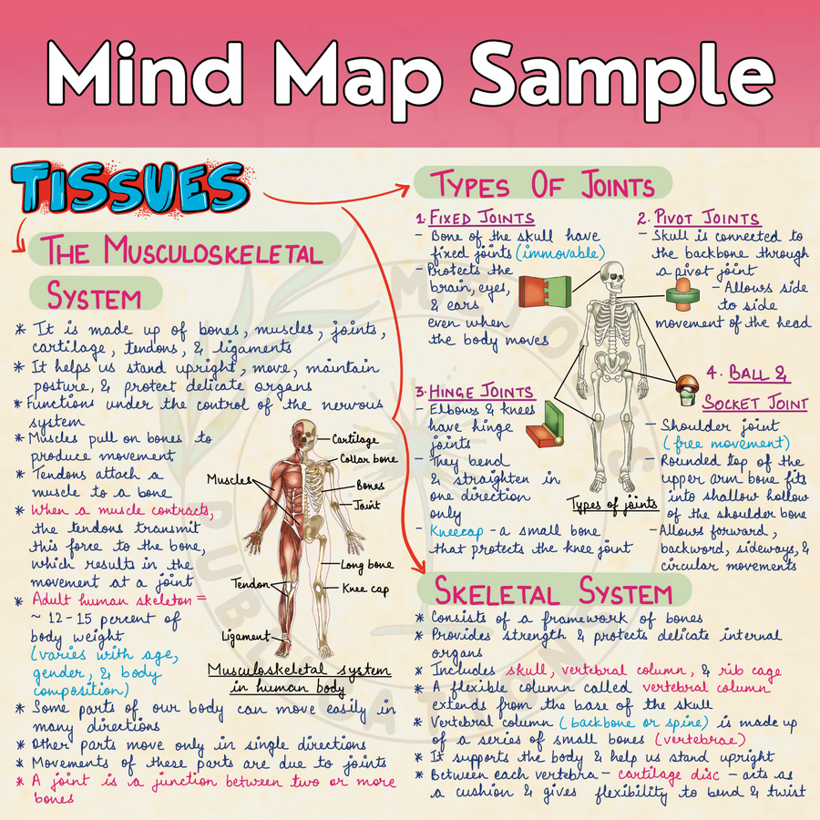 Mind Maps for Class 9 – Science | CBSE 2026-27 Session | Meiosis Publications