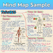 Complete CBSE Class 9 Mind Maps | Science + Maths + Social Science | CBSE  | Meiosis Publications
