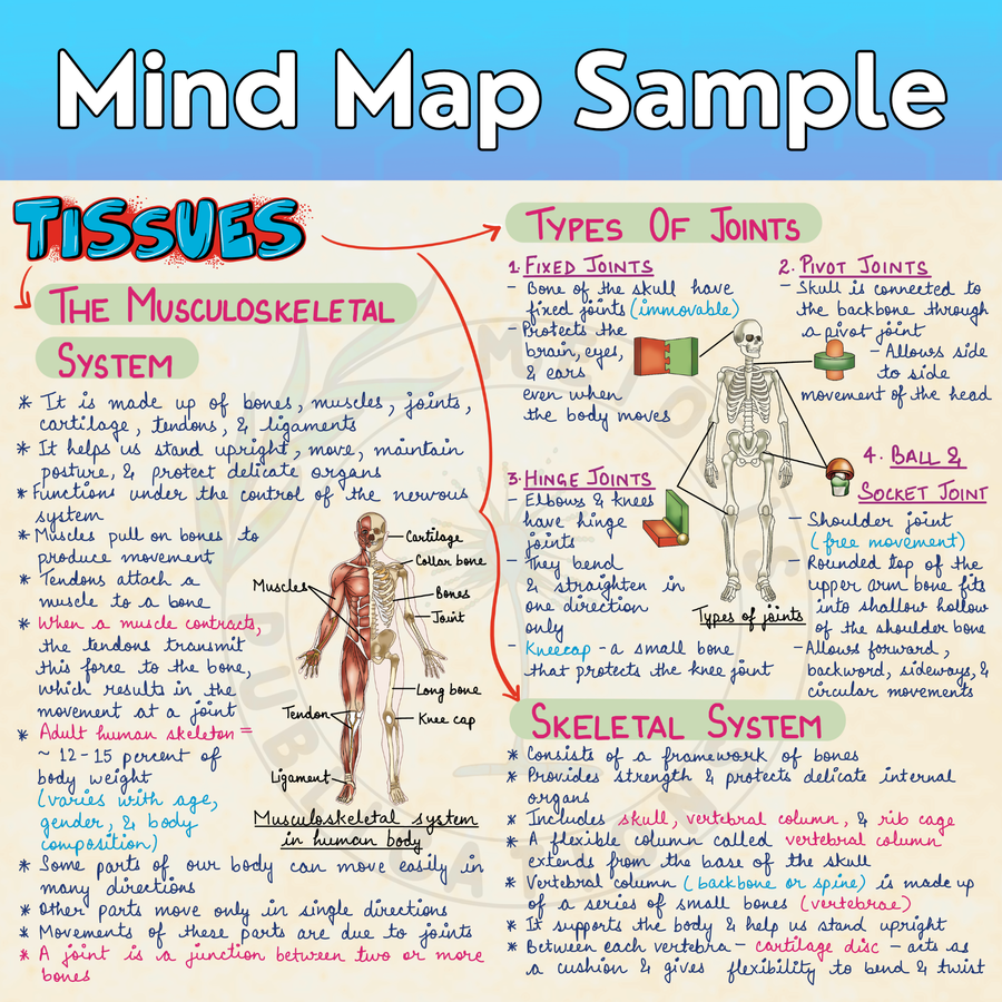 Complete CBSE Class 9 Mind Maps | Science + Maths + Social Science | CBSE  | Meiosis Publications