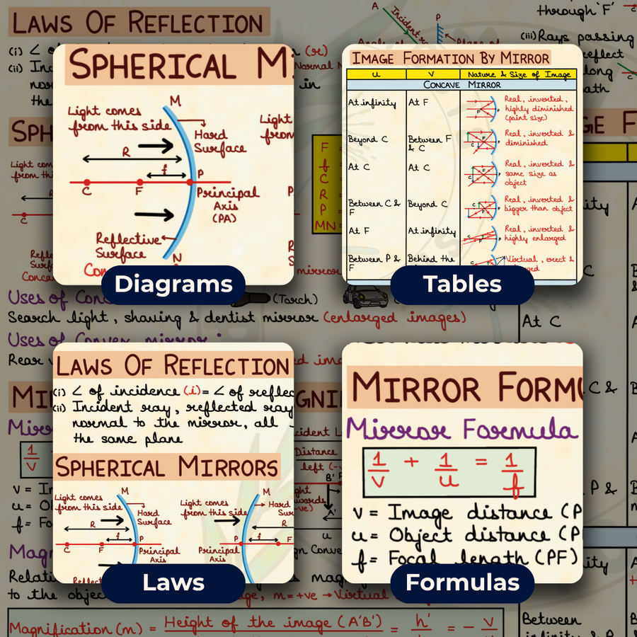 Mind Maps for Class 10 – Science | CBSE | Meiosis Publications