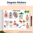 Mind Maps for Class 10 – Science | CBSE | Meiosis Publications