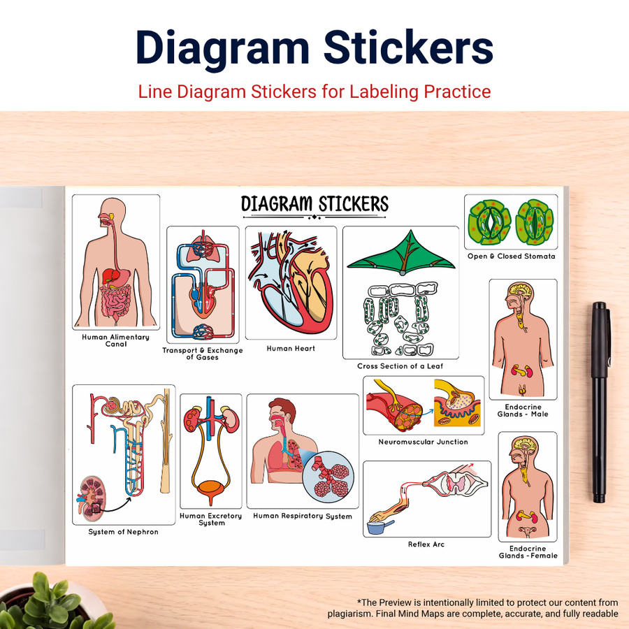 Mind Maps for Class 10 – Science | CBSE | Meiosis Publications