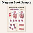 NEET UG Diagram Book for Biology | Class 11 | Meiosis Publications