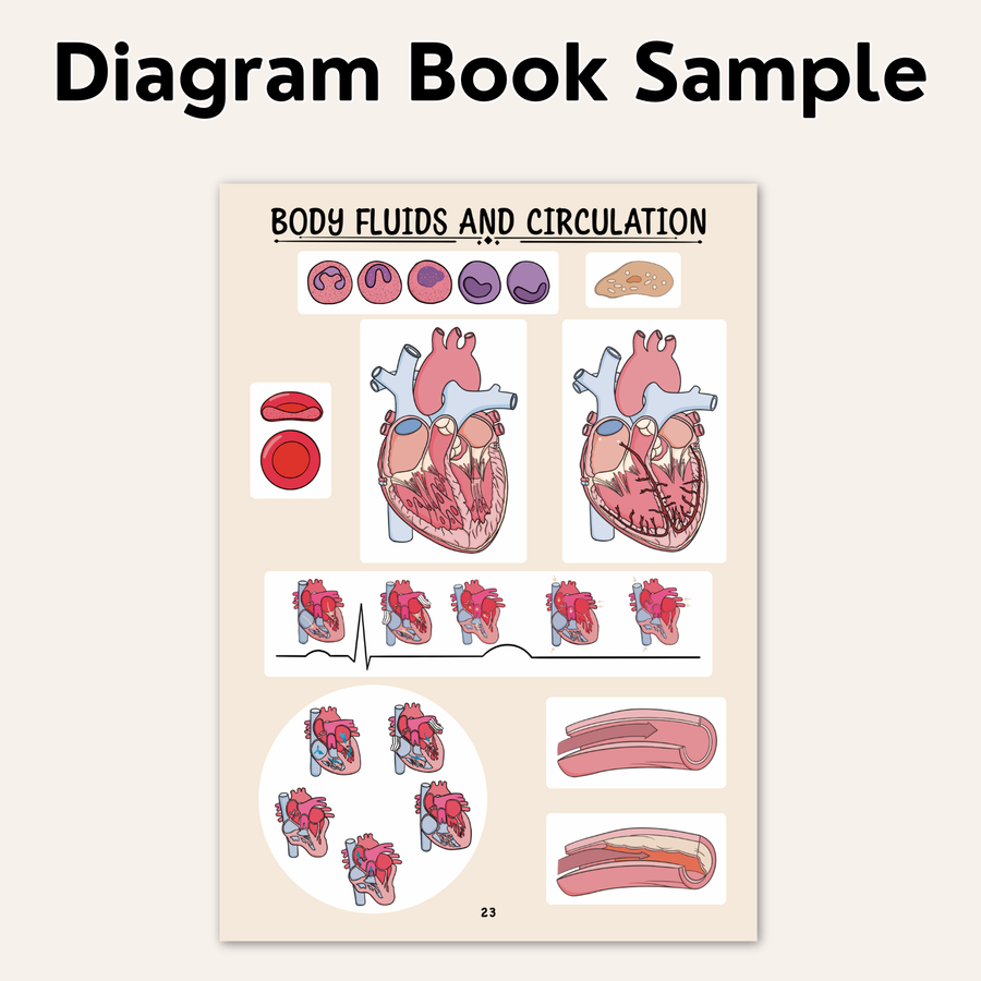 NEET UG Diagram Book for Biology | Class 11 | Meiosis Publications