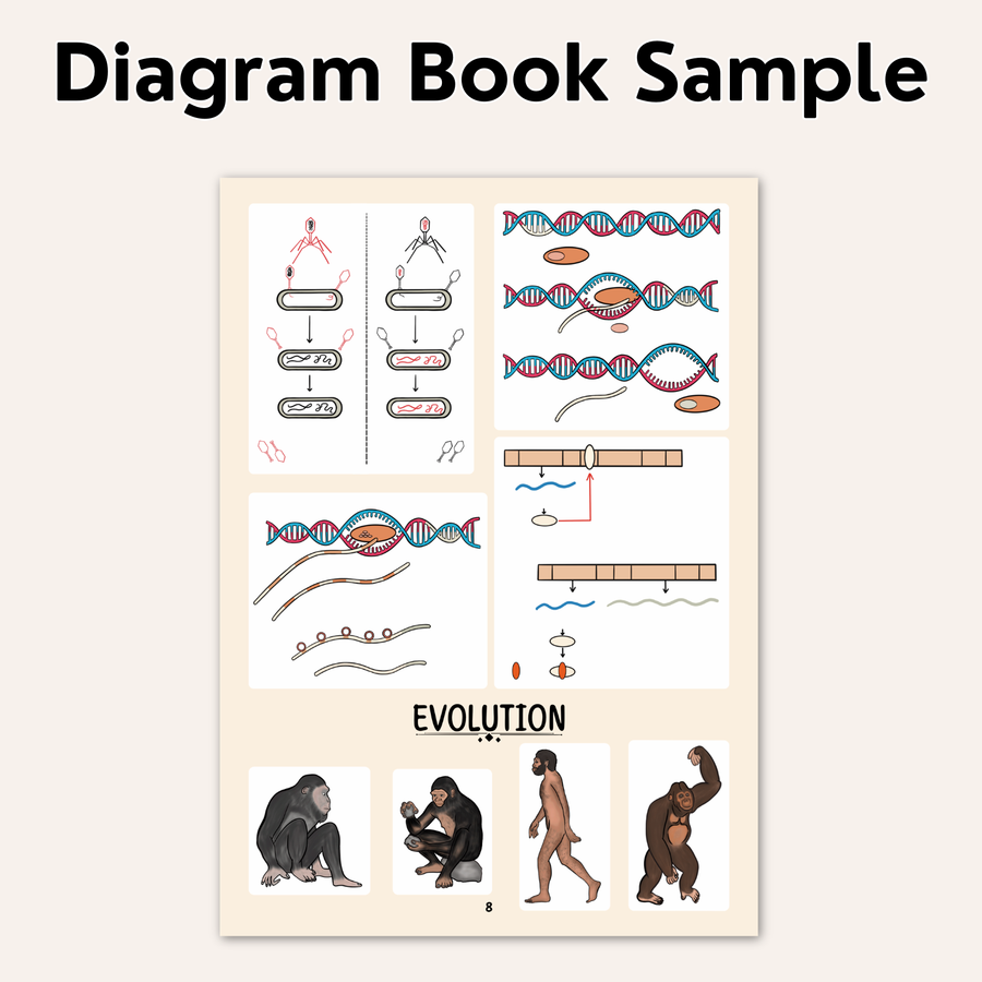 NEET UG Diagram Book for Biology | Class 12 | Meiosis Publications