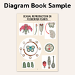 NEET UG Diagram Book for Biology | Class 12 | Meiosis Publications