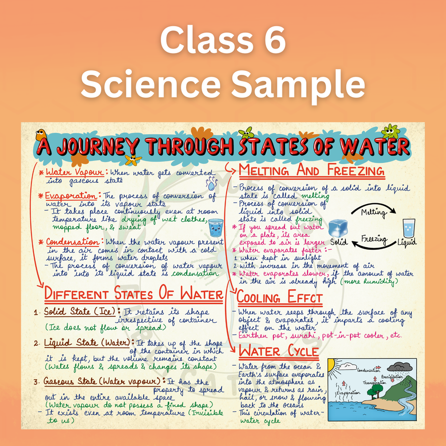 Mind Maps for Class 6 – Science | CBSE | Meiosis Publications