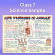 Mind Maps for Class 7 – Science | CBSE | Meiosis Publications