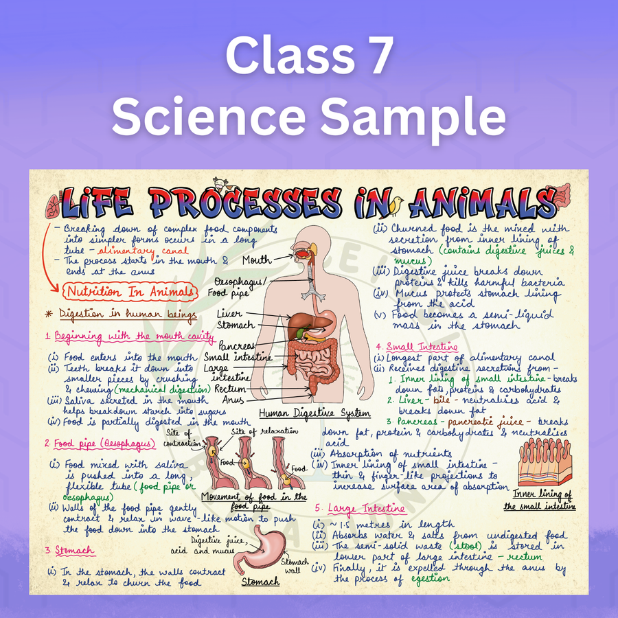 Mind Maps for Class 7 – Science | CBSE | Meiosis Publications