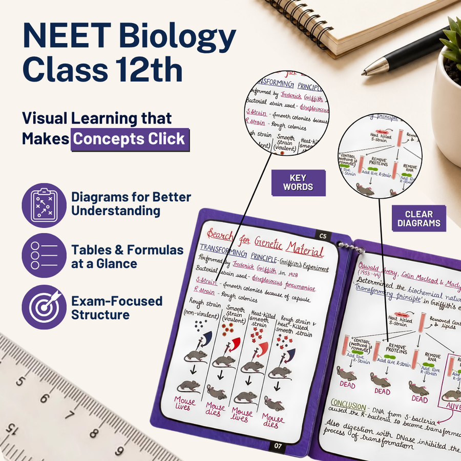 NEET UG Flashcards for Biology | Class 12 | Meiosis Publications