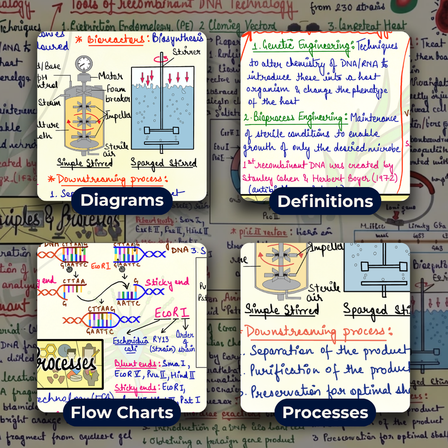 NEET UG Mind Maps for Biology | Class 12 | Meiosis Publications