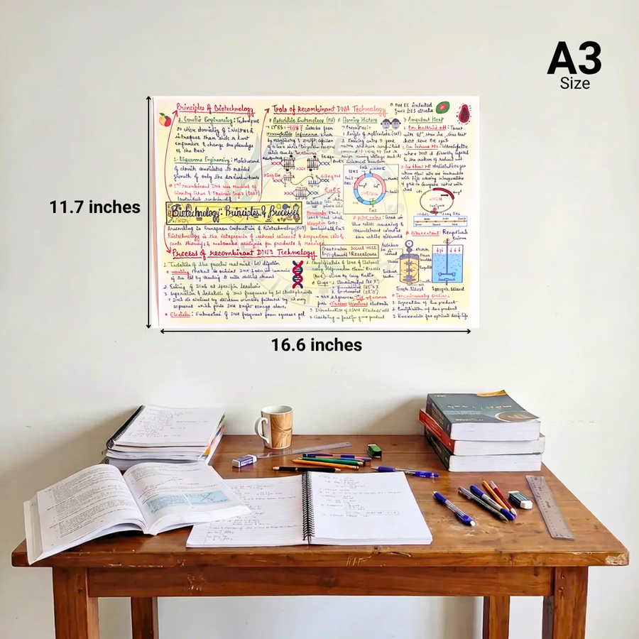 NEET UG Mind Maps for Biology | Class 12 | Meiosis Publications