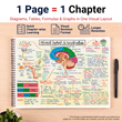 Complete NEET UG PCB Mind Maps | Class 11 | Meiosis Publications