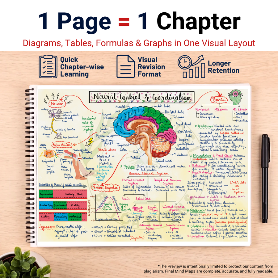 Complete NEET UG PCB Mind Maps | Class 11 | Meiosis Publications
