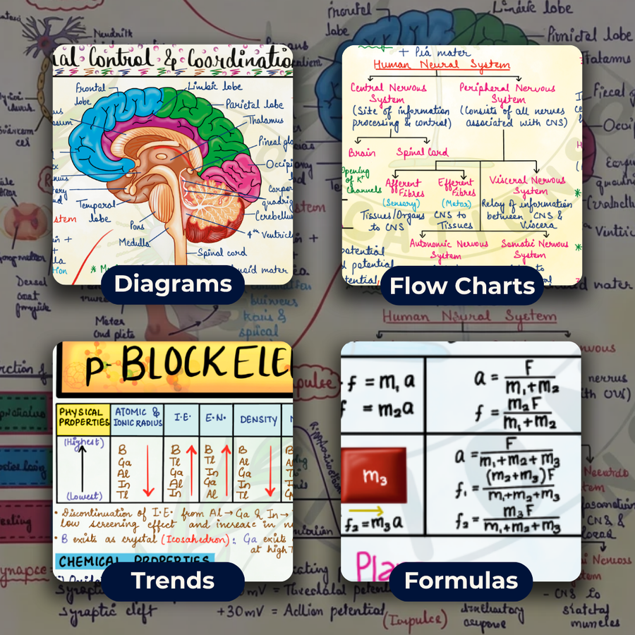 Complete NEET UG PCB Mind Maps | Class 11+12 | Meiosis Publications