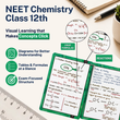 Complete NEET PCB Flashcards | Class 12 | Meiosis Publications