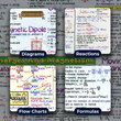 Complete NEET UG PCB Mind Maps | Class 12 | Meiosis Publications