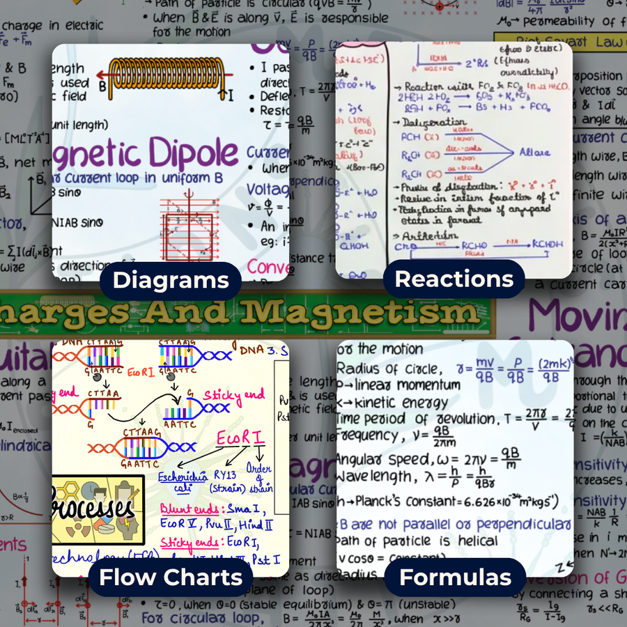 Complete NEET UG PCB Mind Maps | Class 12 | Meiosis Publications