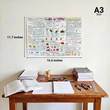 NEET UG Mind Maps for Physics | Class 11 | Meiosis Publications