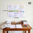 NEET UG Mind Maps for Physics | Class 12 | Meiosis Publications