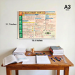 Complete JEE Main PCM Mind Maps | Class 11+12 | Meiosis Publications