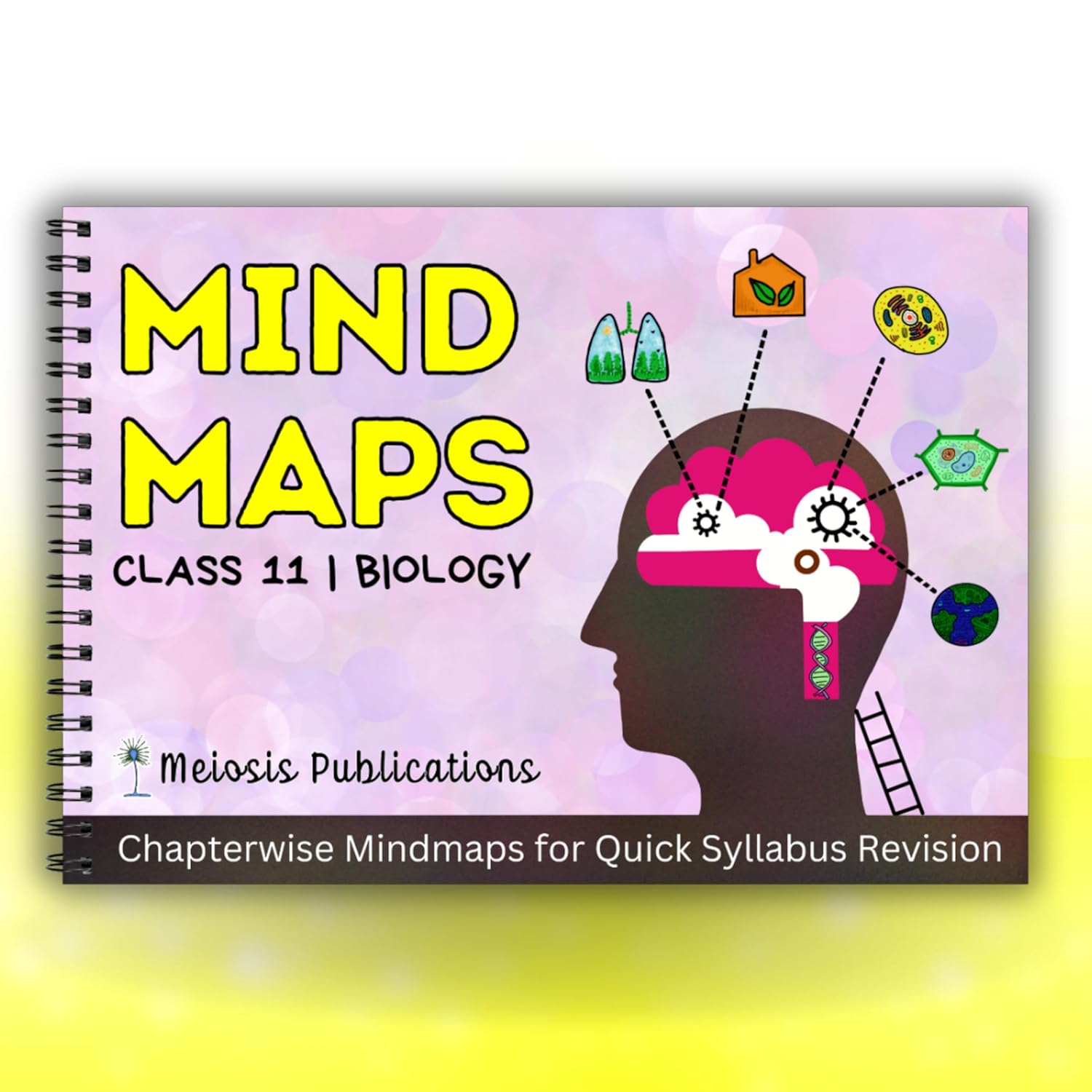 NEET Biology Mind Maps Class 11