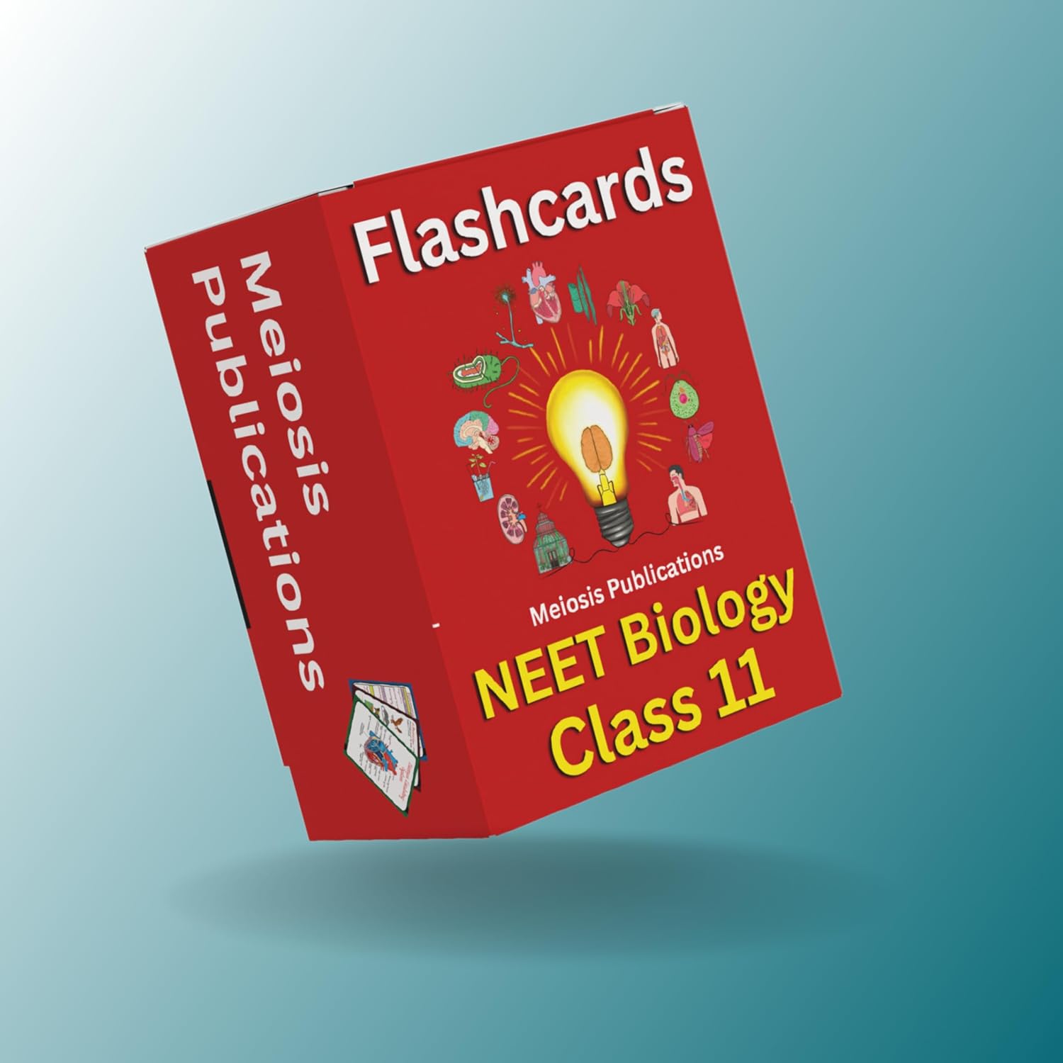NEET Flashcards Biology 11